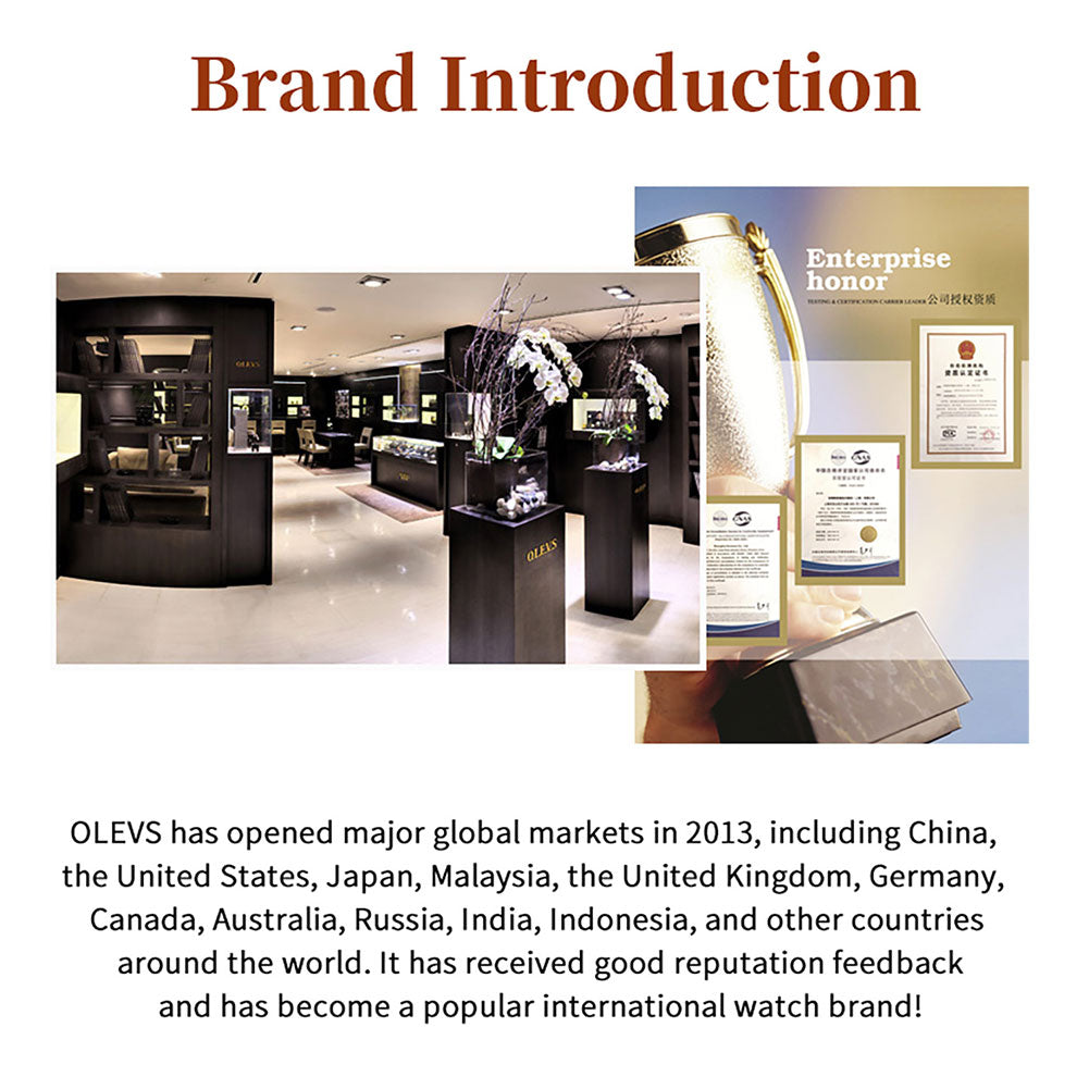 OLEVS 3618 IRON
